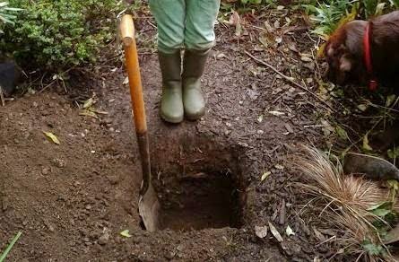 Workshop Foundations - footings